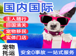 晋江机场空运国际宠物托运 【国